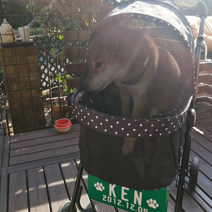 035d1ff3 0e06 4fc4 979c c2a7d2c3c306 1676879348598