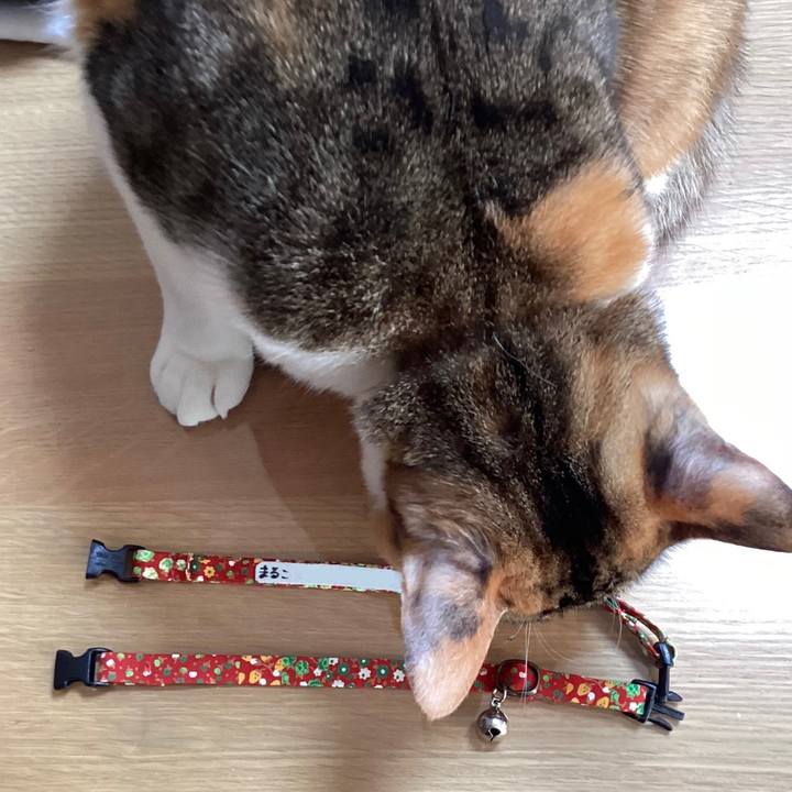 035d6a0a 0063 48c4 a2ec 8fa639cb279d 1671854276272