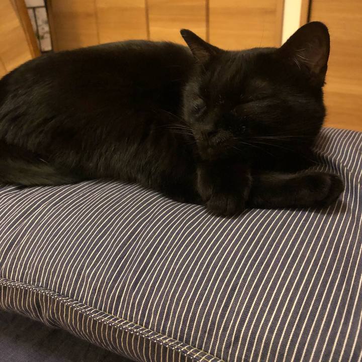 035d718f 99b5 445e bded d75d6697c5a9 1514301435392