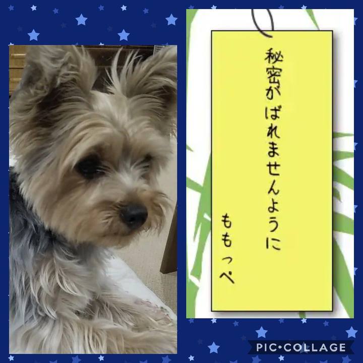 035deec4 fffe 40e3 b85c ee622777a5a5 1562499813360