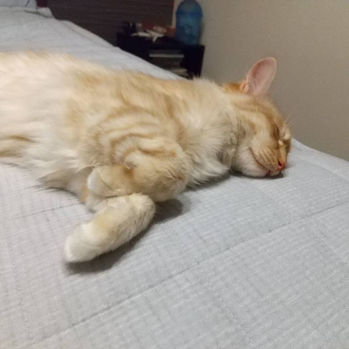 035e02c5 74e4 49c1 8c52 06f5030af984 1620129110078