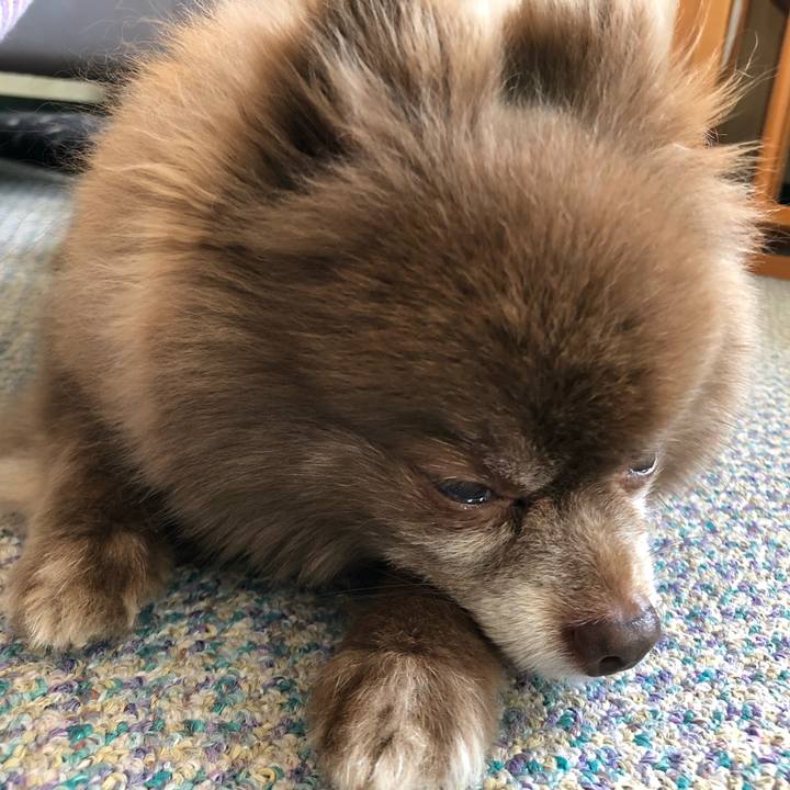 035e0545 6752 4cc5 b383 fb2118ce4d79 1560638807107