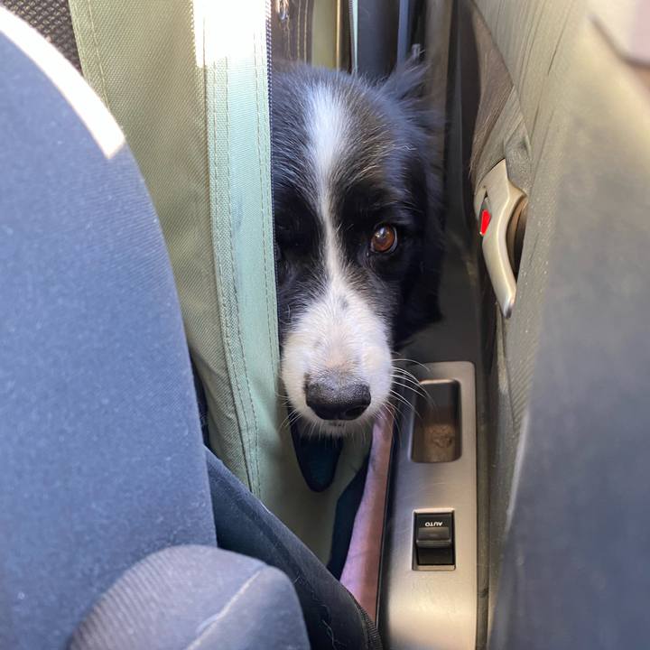 035e3845 88ff 4f10 b2c5 c6a79f4c27cb 1656712954325