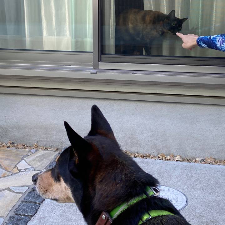 035e96e9 64e3 44e4 aea5 c04af263193f 1601250332958