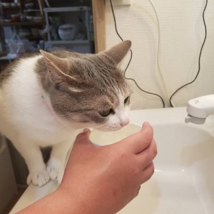 035e9881 1dbd 4825 afc7 0c7c34474f2e 1588738593223