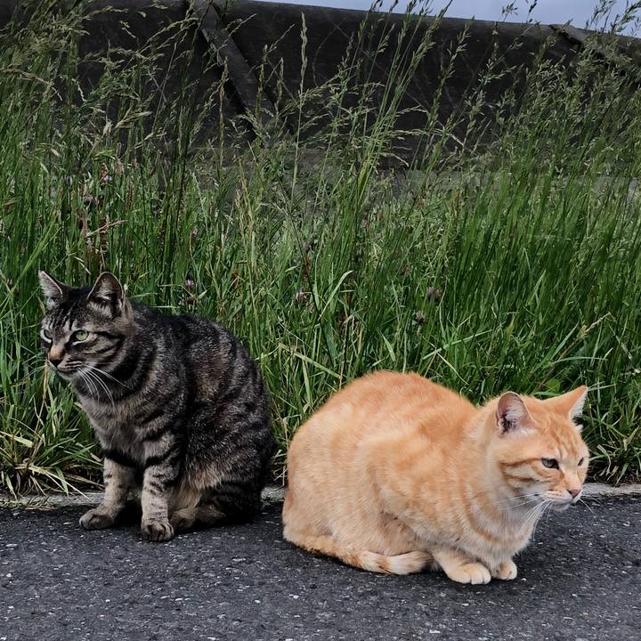 035ea71f 6556 4877 a9d8 3a4572a7e120 1525953088806