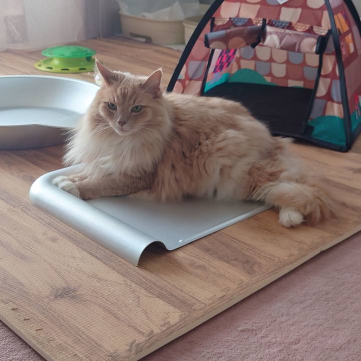 035eb790 3e53 4439 b5d4 ba6205e5feba 1654316098011