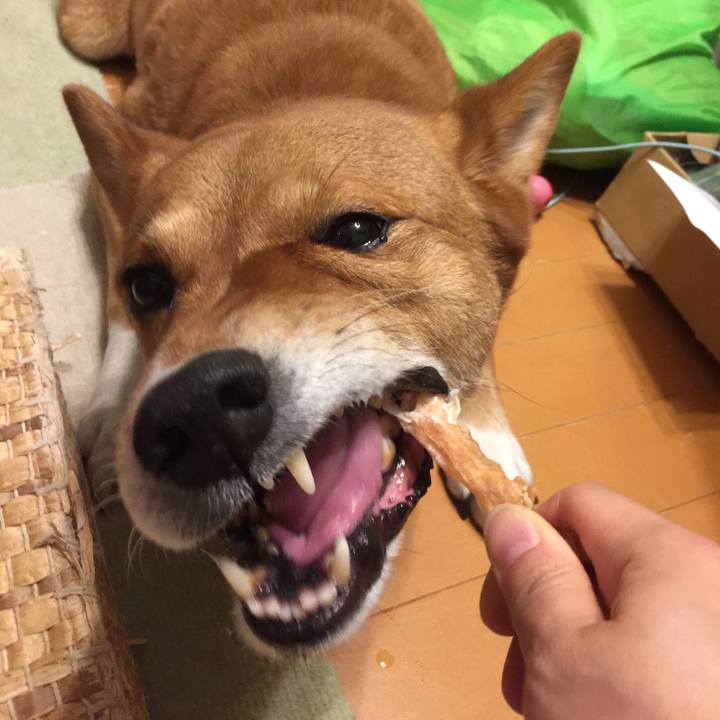 035ee71c 6152 4b71 b028 210e31788c9c 1603538864176