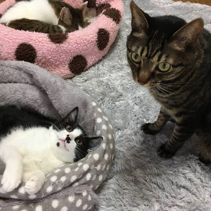 035ef781 9ccd 4030 ac33 b9a9ef3a086d 1580185741976