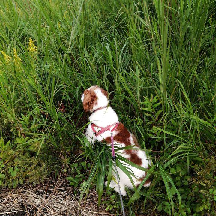 035f0224 192a 4451 ae76 42339ee2e268 1603157715364