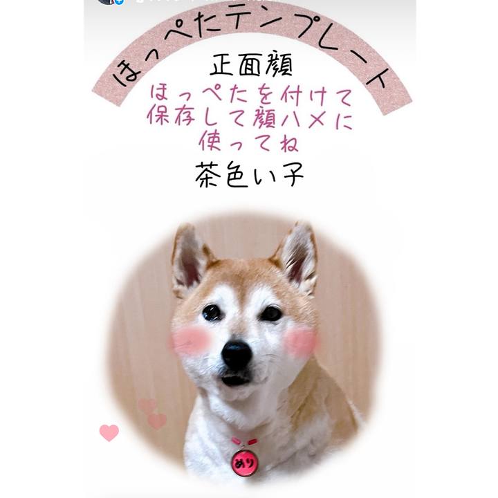 035f08a9 c25a 4e47 949b 15a83186357b 1722245938171