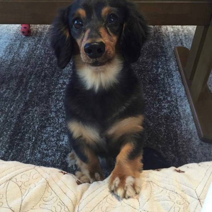 035f82dd 9bba 461e 95fe 66762d6723d0 1645258221170