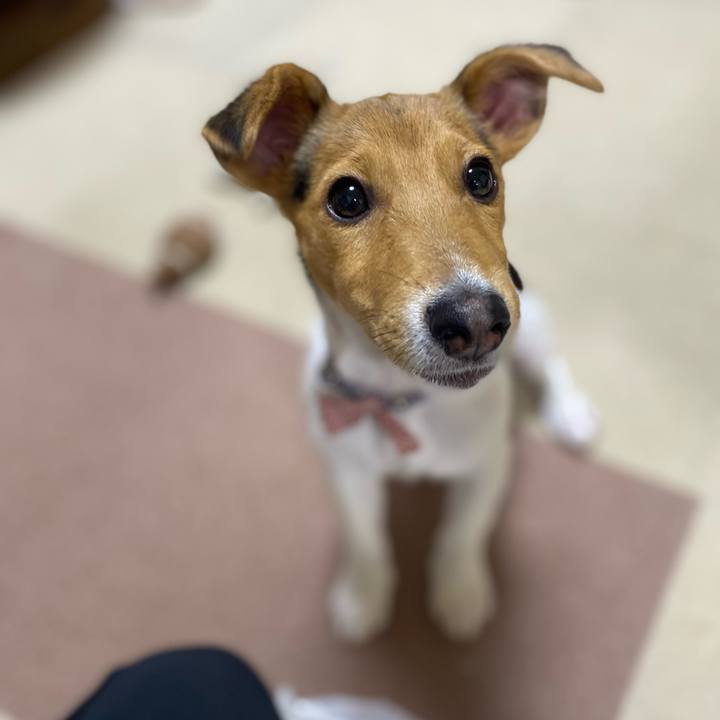 035fa129 2355 48a3 8901 de12b7af6920 1747917927427