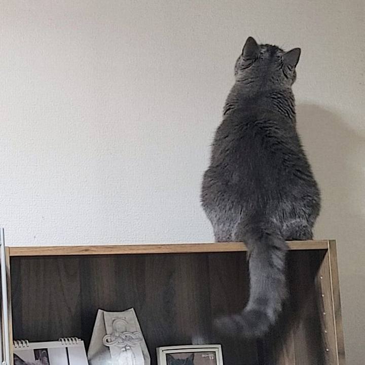 035faf42 5ccf 43a3 83d6 6bfc44f8bc83 1762774280736