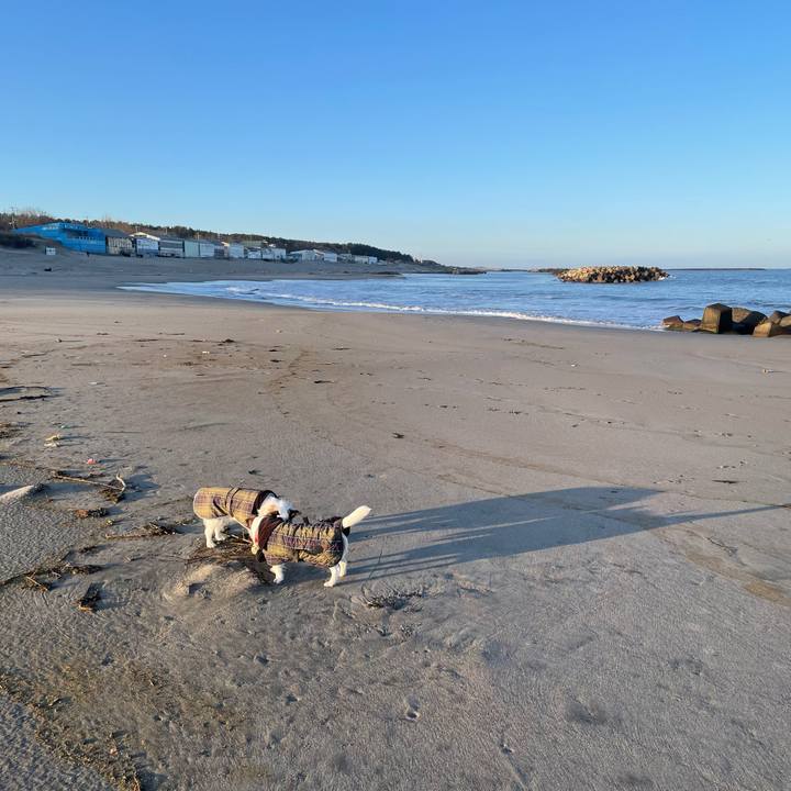 035ffa73 122a 4470 8eee 71322f91d110 1771543073885