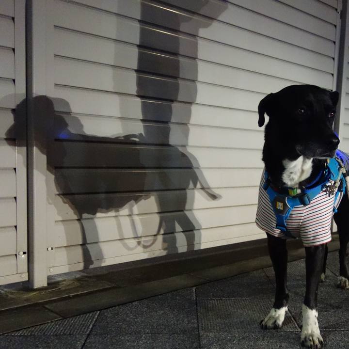 03600f9b 26a5 4125 b99b 961daa0b6f8e 1673522425100