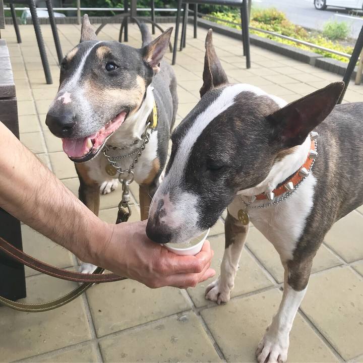 03602ca6 8091 48a4 a193 3a6e75a8adac 1526124960196