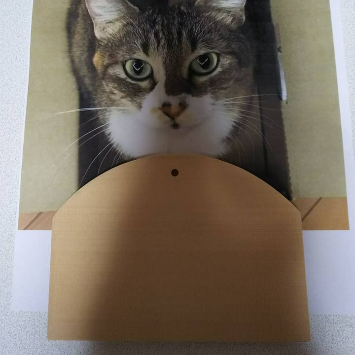 03603423 c396 42fd bab3 c34e955e6b86 1535275669766