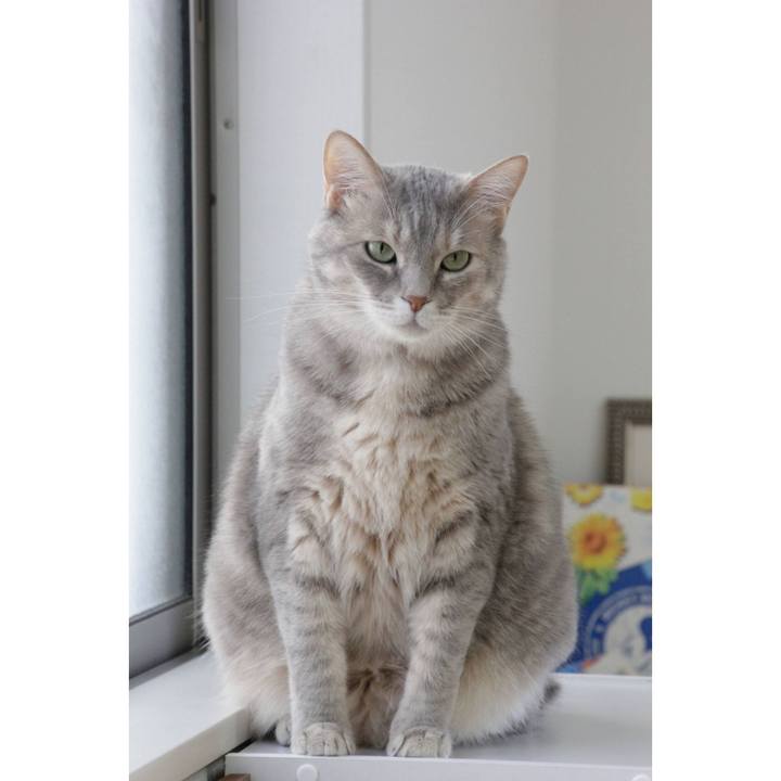 036040b9 17a7 45fa aca6 a1845180ab39 1684988372408