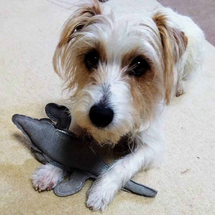 0360803f 156c 47e4 8332 7a23f1069f55 1522588334465