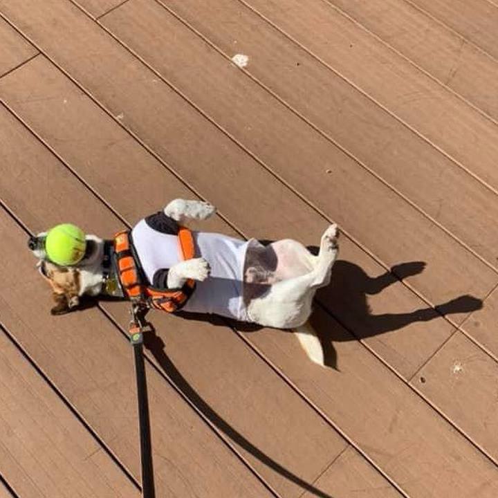 036085fe 9cc6 4aaf 9f89 c066209f594a 1700098358170