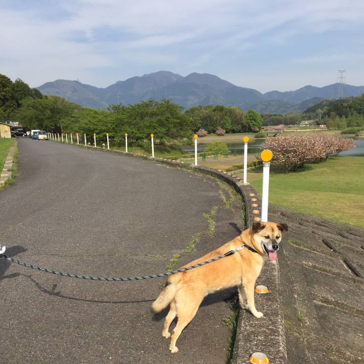 0360883f 1a3a 4ab0 8021 34e1a5e32ff0 1524382009251