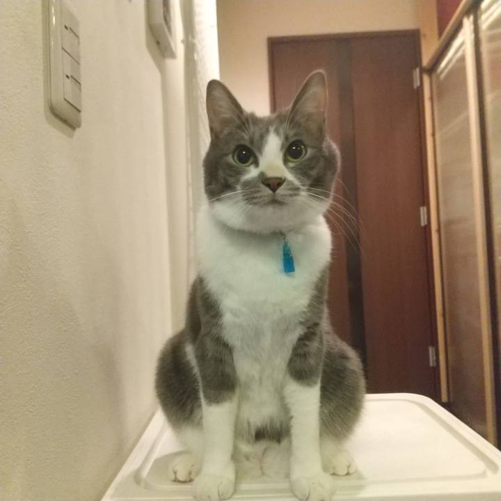 03608af6 07be 458c 91ba 473cd7ab7661 1610975292624