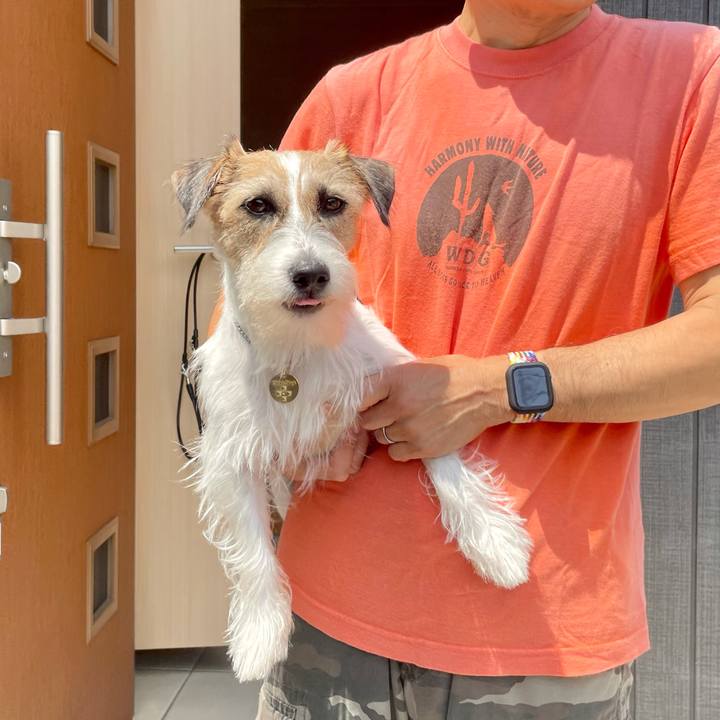 0361182c 9af7 47e4 8c91 c191359e949e 1627101979021