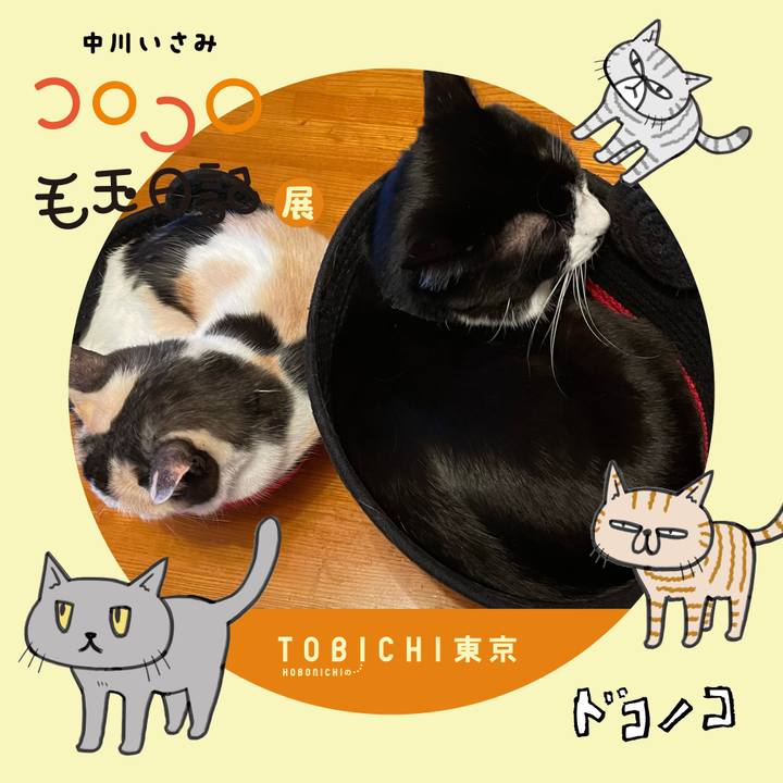 036126a5 e87c 41d5 91c9 c9aeac3ca9ba 1740189698214