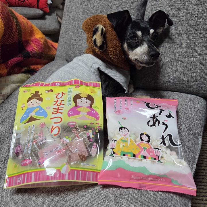 03614eb2 9309 4a01 935d 3224825a2d6b 1772527773313