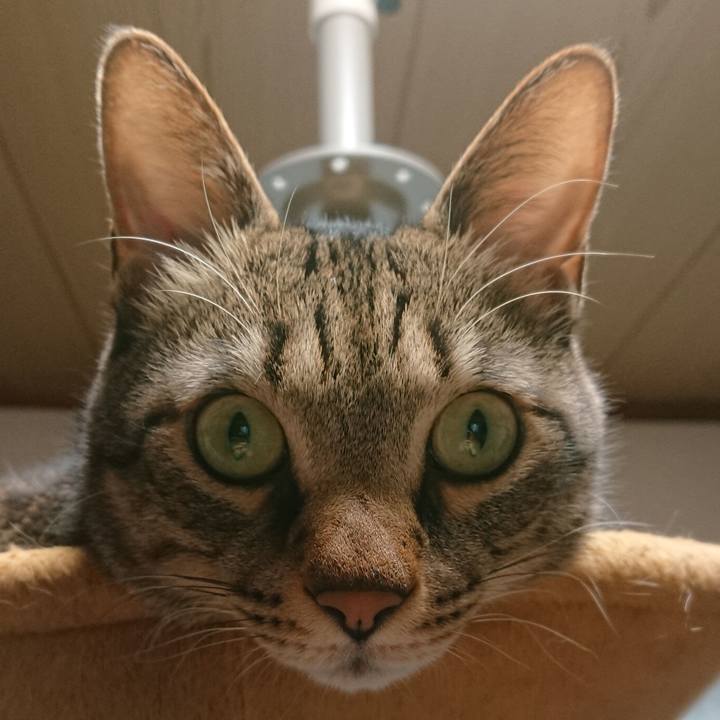 0361a345 8653 4e1e b9d8 57fcc3e09c1d 1576891241421