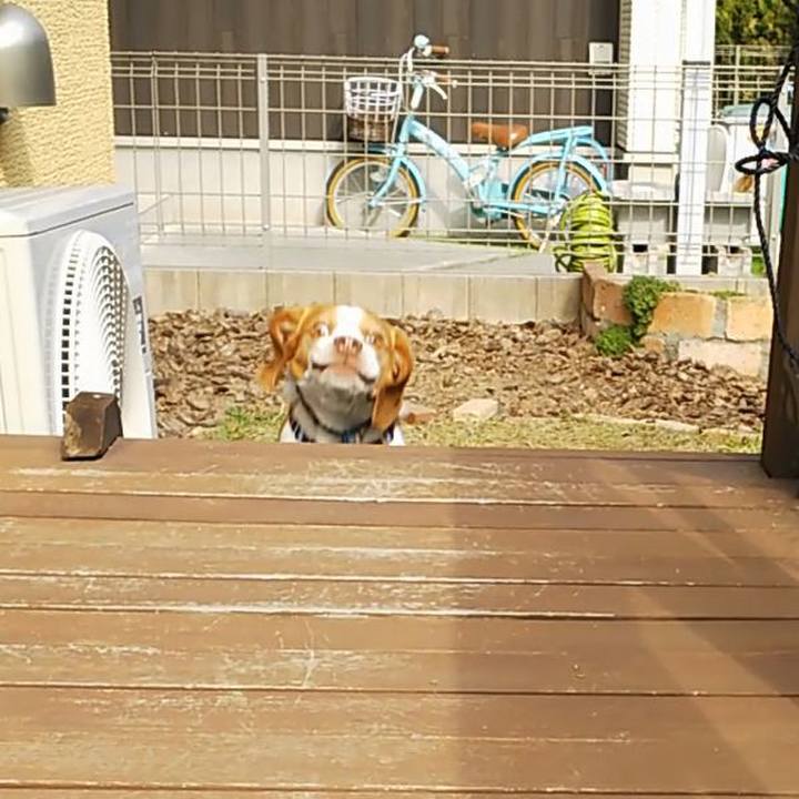 03621781 1881 474b 958c acfc6fd8e801 1586587994990