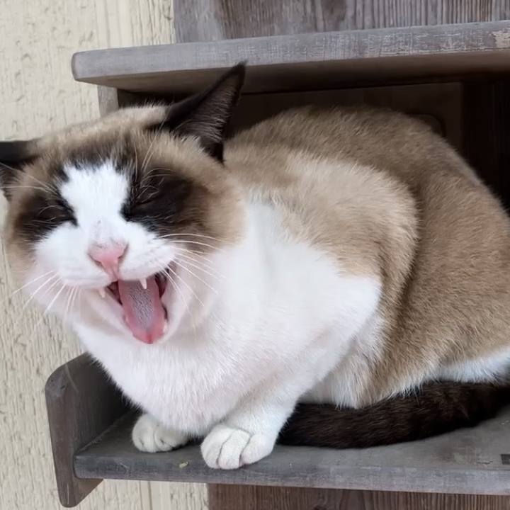 036217e2 8bf0 4ba4 9241 a7abfaf9f873 1735353775643