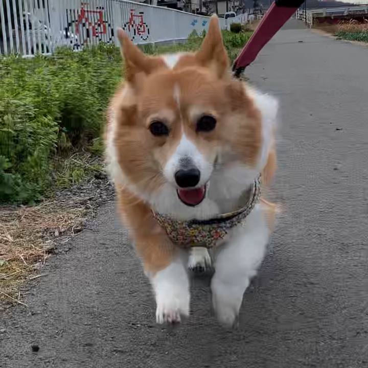 036241fb 3c80 4b31 89a0 e88963ffe506 1671589914808