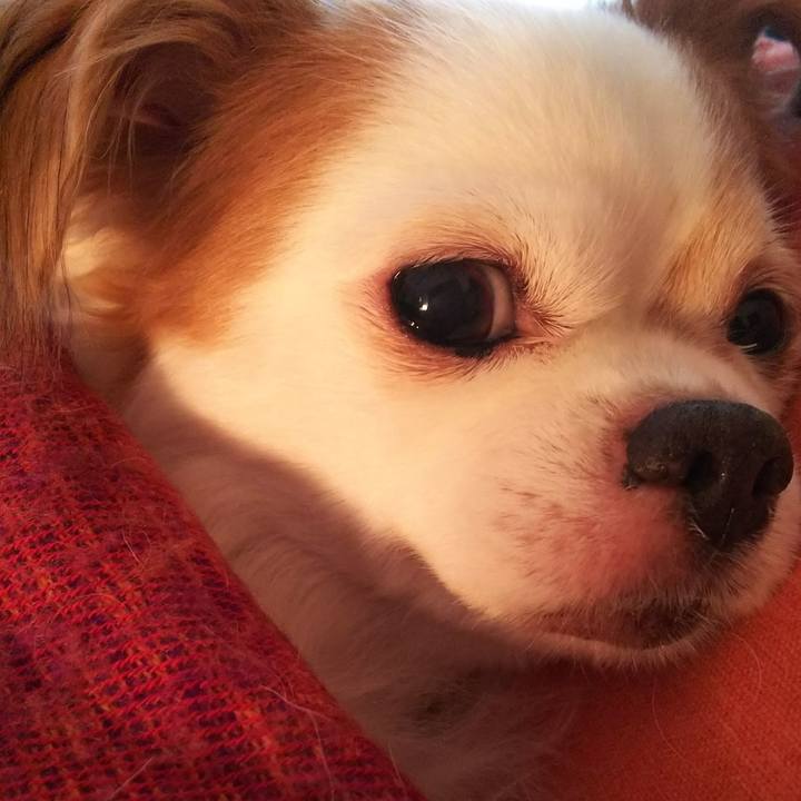 03624855 e80f 4ba4 9c16 c6871b37e19e 1515822680861