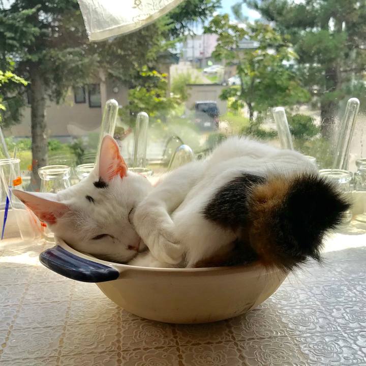 0362a6e2 afc4 47ed 9fdd 416379221e42 1567306781268