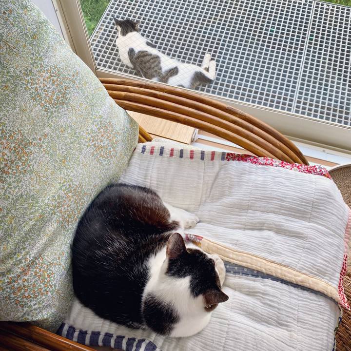 0362cbbc 9df1 4d6d a5ca 5e011a62efbb 1597399300207