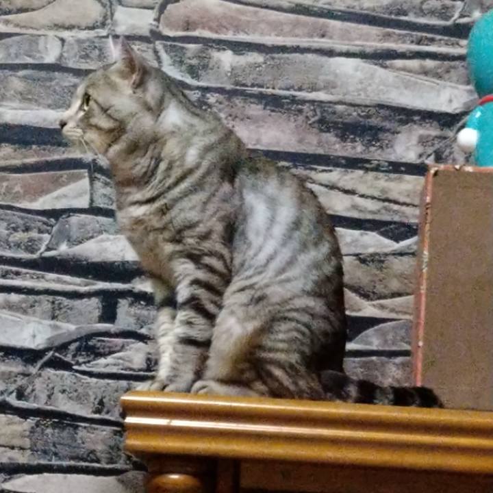 0362e0a3 168e 493c b7cb c5c56361f5e1 1600828165562