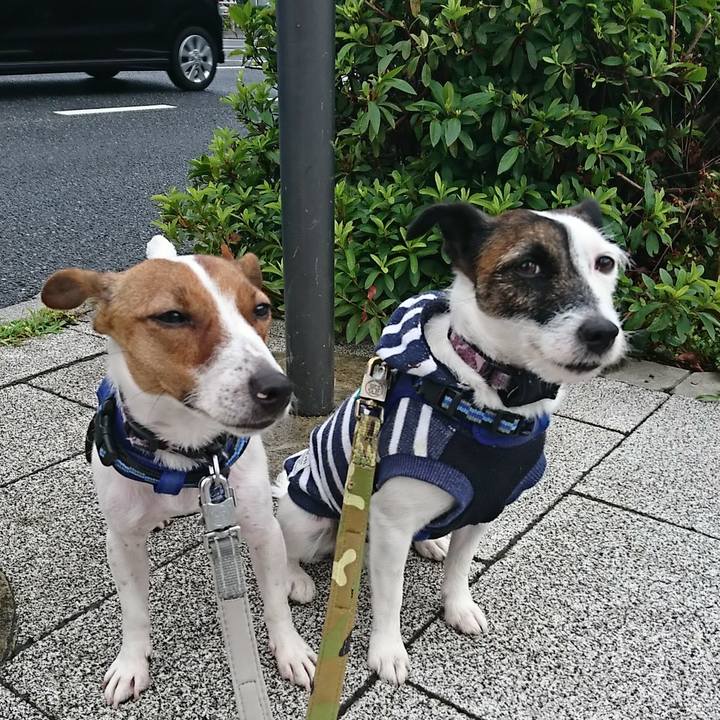 03631814 5c2f 4931 94a6 58fabcc08c48 1530742633011