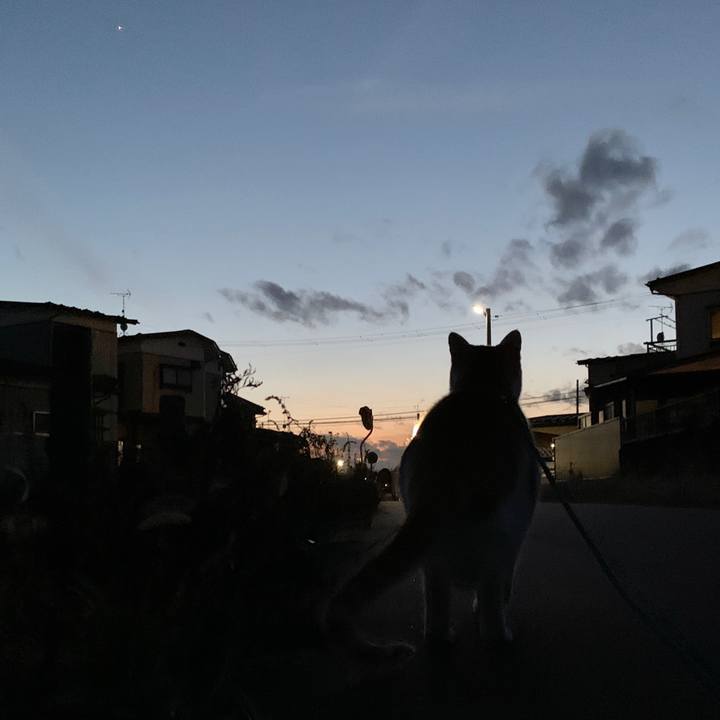 03631d4c 2d88 4b2e a8b2 7e306171126c 1579171775729