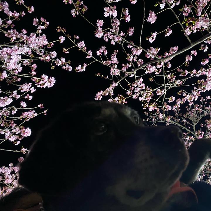 03632570 36f2 432b ae18 dd92cd0ba063 1740746107073