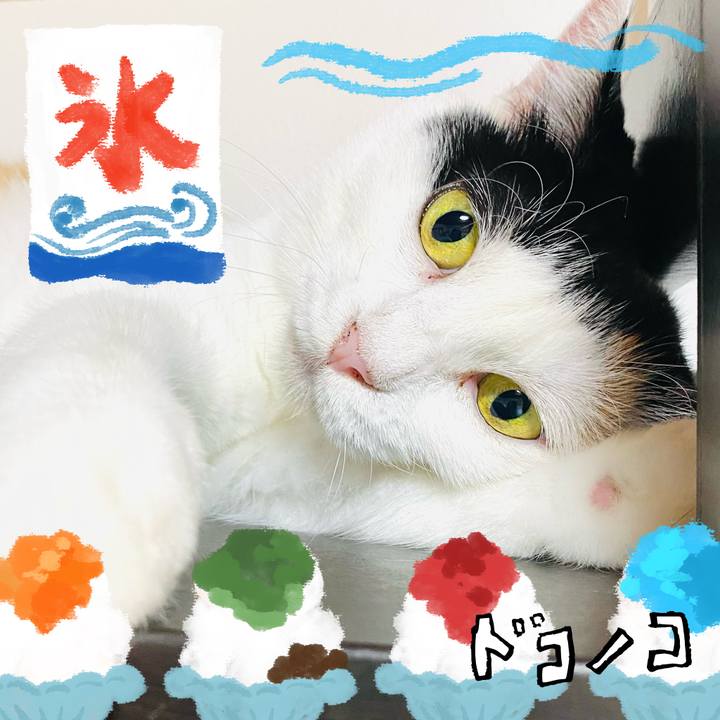 03638577 c585 419d 8933 f94144ddd442 1723186815824