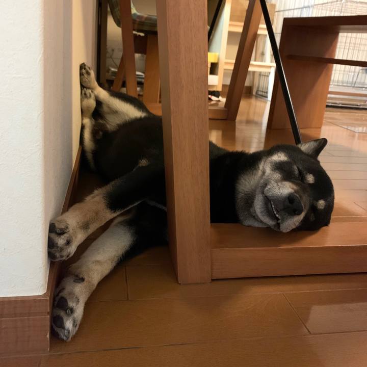 03639aca c635 49b9 a962 b8755ea29575 1585838510897