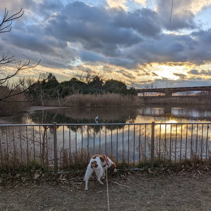 0363b451 c86e 4e31 94f9 30c995c5434a 1643535541435