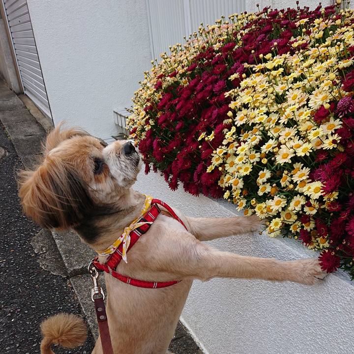 0363b526 82a0 47bc 932e a492615621b3 1586428794814