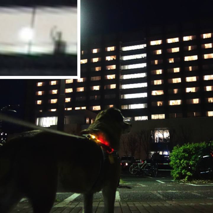 0363b60b 546f 479b ae7e 4648dff09c51 1662686156223