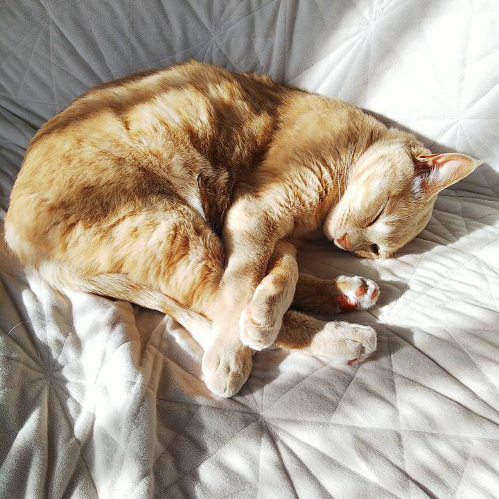 0363d6f2 7702 4de7 bfdd 5fe6087820c5 1673150756569