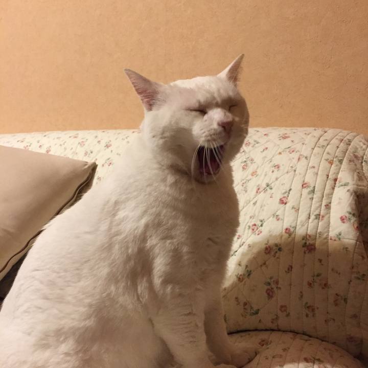 0364100f 4f5f 47c6 9864 4224c9c53025 1513608133447