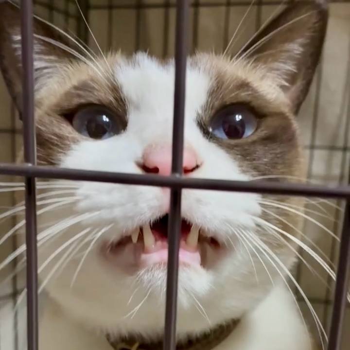 0364233c 981a 40a0 a018 15474ad0b1ff 1762857218484