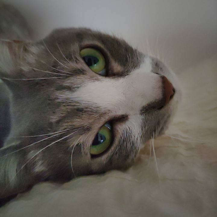 03646bf6 406a 437b 9c8b 0a5e92f860b5 1696469656868